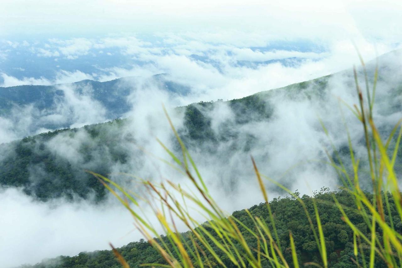 Misty Mountain Experience By Perfect Stays Pīrmed Exteriör bild