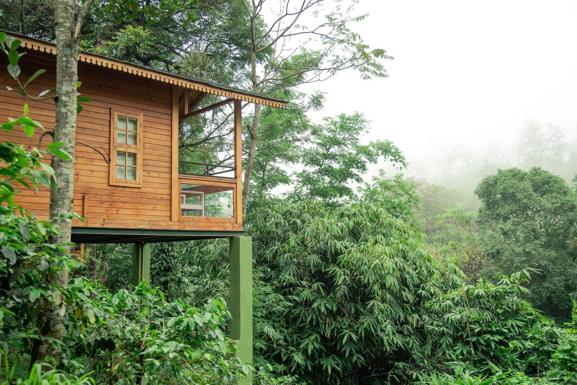 Misty Mountain Experience By Perfect Stays Pīrmed Exteriör bild